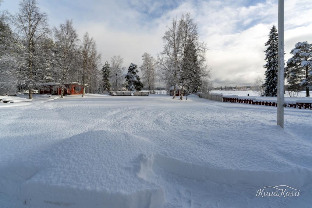 Talvinäkymä järvelle